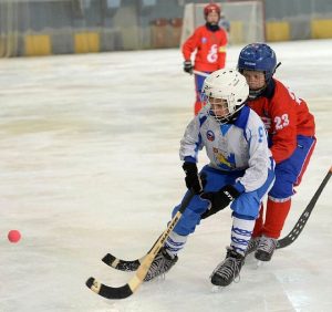 хоккей (1)